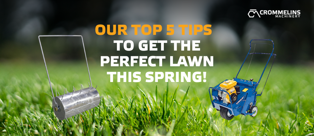 Our top 5 tips to get the perfect lawn this spring!