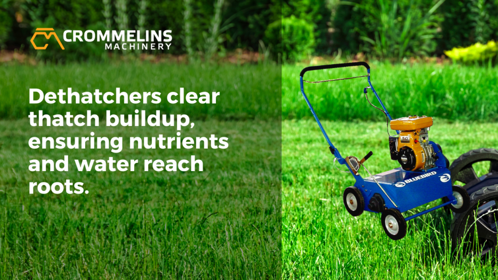 Dethatchers clear thatch build up 