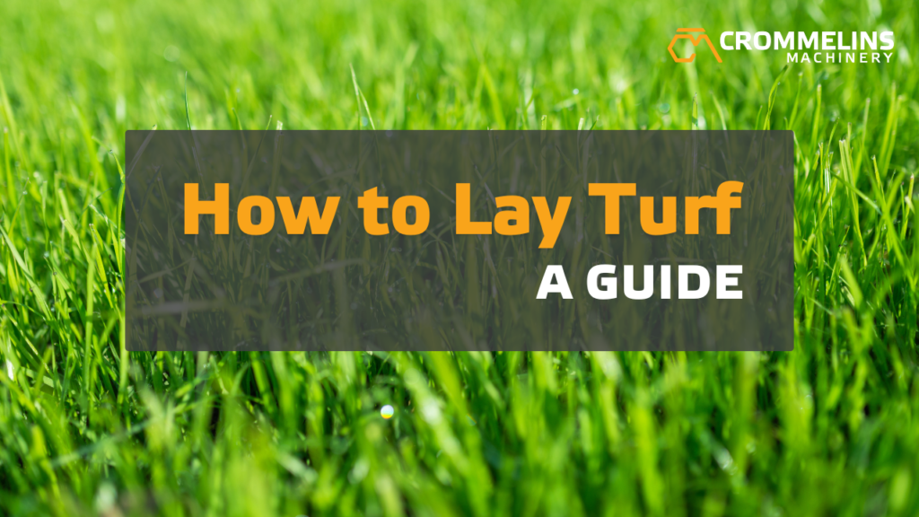 1 How to Lay Turf: A Guide 3